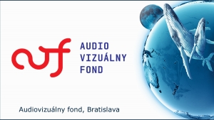 Audiovizuálny fond