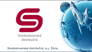 Stredoslovenská distribučná, a. s.