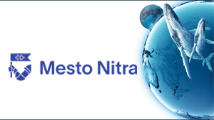 Mesto Nitra