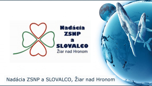 Nadácia ZSNP a Slovalco