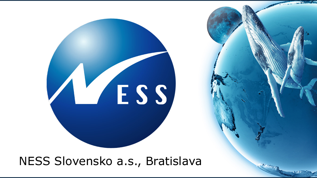 NESS Slovensko a. s.
